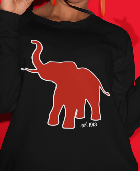 Elephant Sweatshirt for Nanze